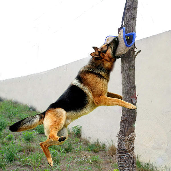 Dogs Bite Protection Arm Sleeve