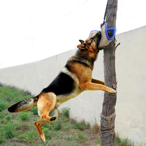 Dogs Bite Protection Arm Sleeve