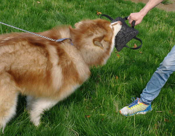 Handle Bite Pillow Tug