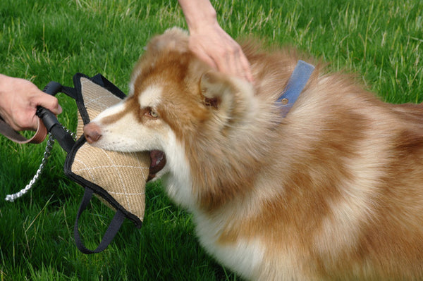 Dog Training Bite Tugs